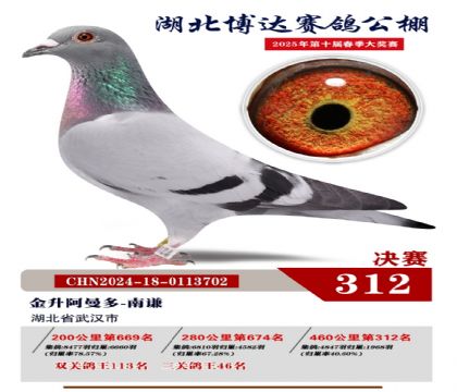 博達春棚決賽312名