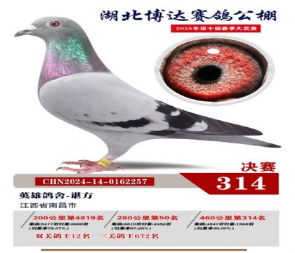 博達春棚決賽314名