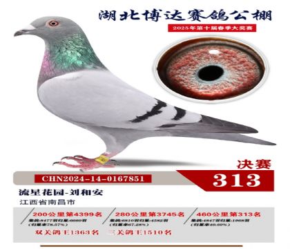 博達春棚決賽313名