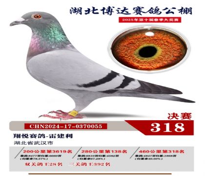 博達春棚決賽318名