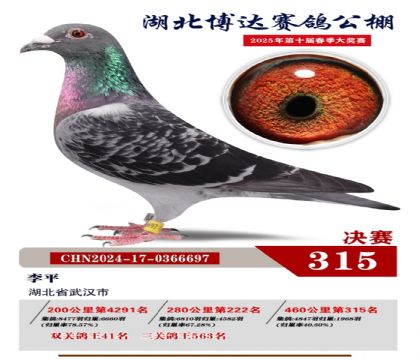 博達春棚決賽315名