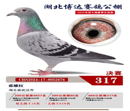 博達春棚決賽317名