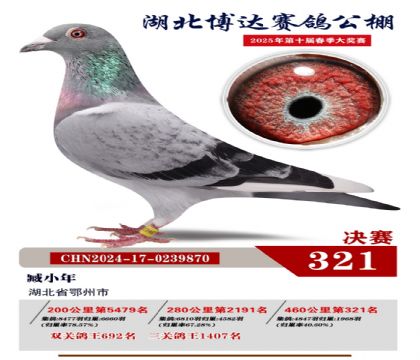 博達春棚決賽321名