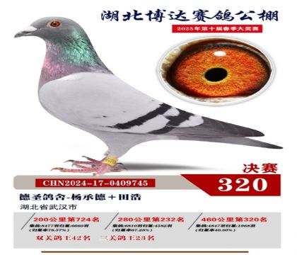 博達春棚決賽320名