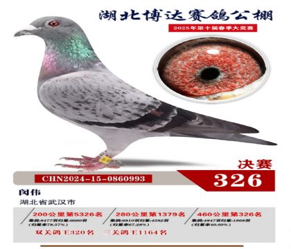 博達春棚決賽326名