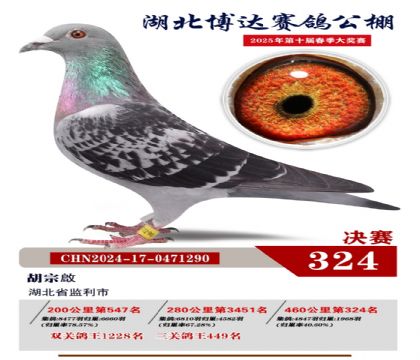 博達春棚決賽324名