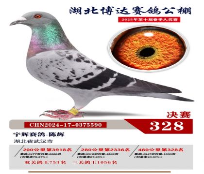 博達春棚決賽328名
