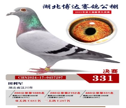 博達春棚決賽331名