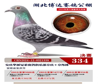 博達春棚決賽334名