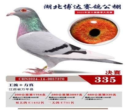 博達春棚決賽335名