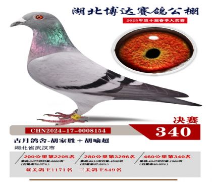 博達春棚決賽340名