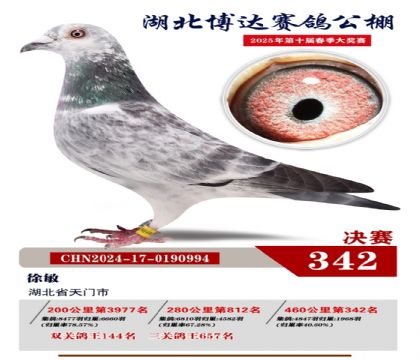 博達春棚決賽342名