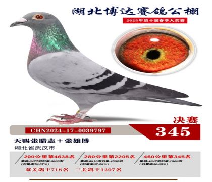 博達春棚決賽345名
