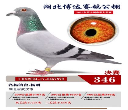 博達春棚決賽346名