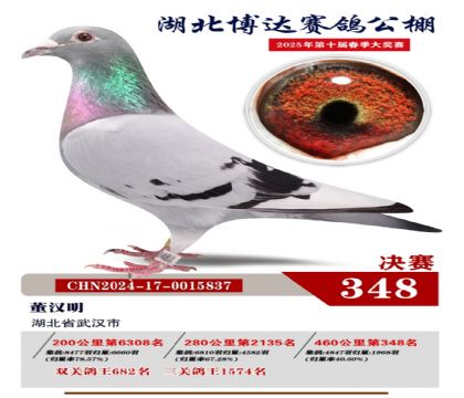 博達春棚決賽348名