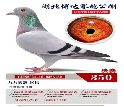 博達春棚決賽350名