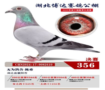 博達春棚決賽356名