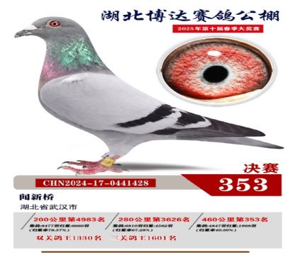 博達春棚決賽353名