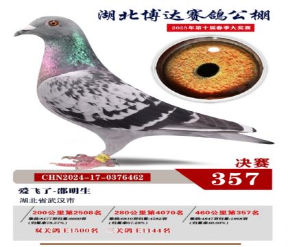 博達春棚決賽357名
