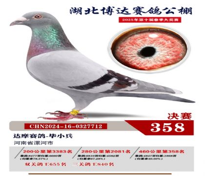 博達春棚決賽358名