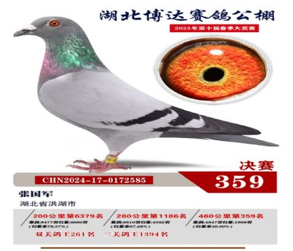 博達春棚決賽359名