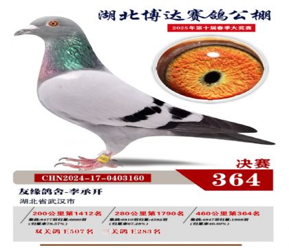 博達春棚決賽364名
