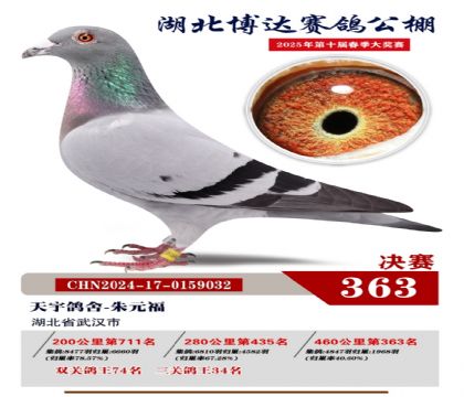 博達春棚決賽363名
