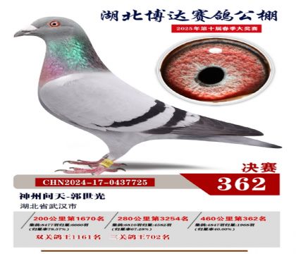 博達春棚決賽362名