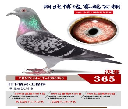 博達春棚決賽365名