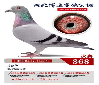 博達春棚決賽368名
