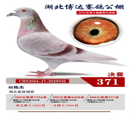博達春棚決賽371名