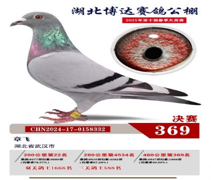 博達春棚決賽369名
