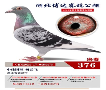 博達春棚決賽376名