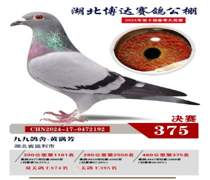 博達春棚決賽375名
