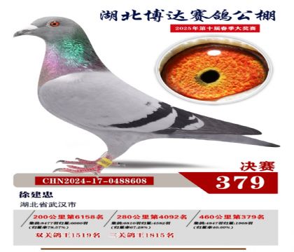 博達春棚決賽379名