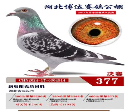 博達春棚決賽377名