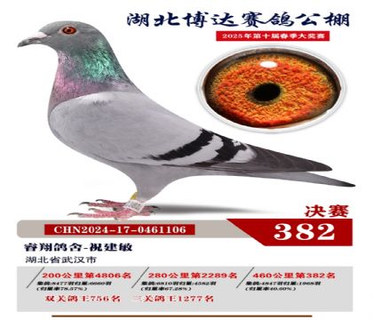 博達春棚決賽382名