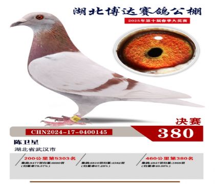 博達春棚決賽380名