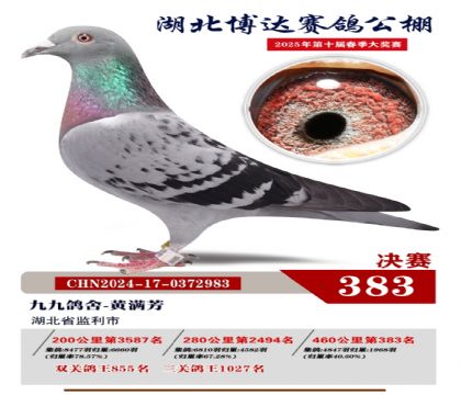 博達春棚決賽383名