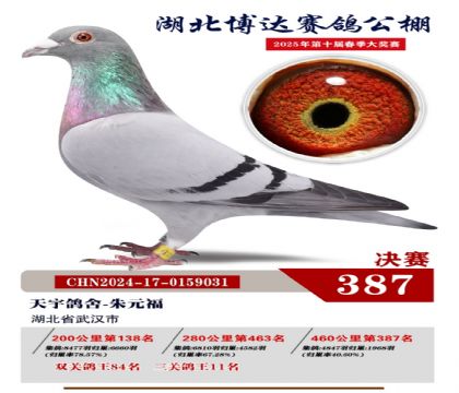 博達春棚決賽387名
