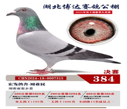 博達春棚決賽384名