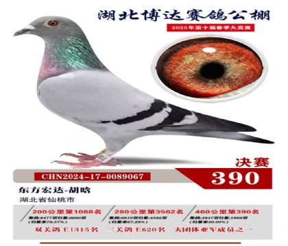 博達春棚決賽390名