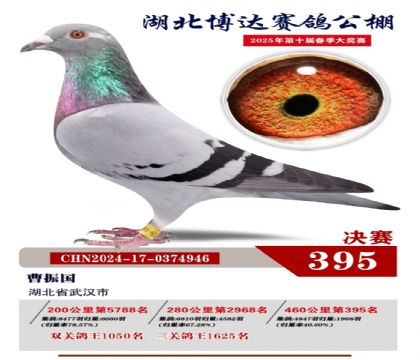 博達春棚決賽395名