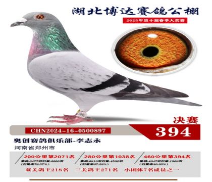 博達春棚決賽394名
