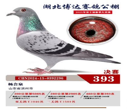 博達春棚決賽393名