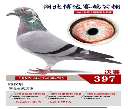 博達春棚決賽397名