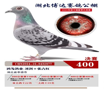 博達春棚決賽400名