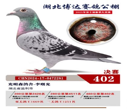 _(d)Qِ402