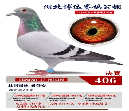 博達(dá)春棚決賽406名