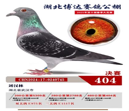 _(d)Qِ404